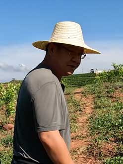 农业人叶涛，50多岁通讯人跨界搞农业，他要用1000万打造一个梦。